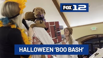 Halloween ‘Boo Bash’ at Zenith Vineyard raises funds for Oregon Humane Society
