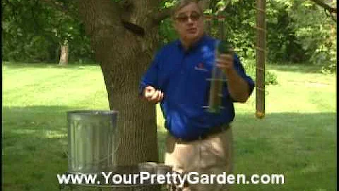 Birdman Mel Attracting Goldfinches