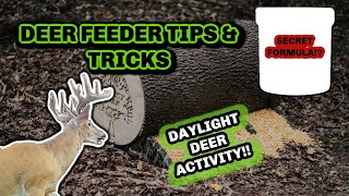 Deer Feeder Tips and Tricks 2021  #1 Secret to daylight deer on feeders!