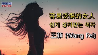 왕페이 용이수상적여인 [容易受傷的女人] 王菲 ‘왕비’ ‘Wang Fei’ ‘Faye Wong’ ‘쉽게 상처받는 여자’ 노래 가사 한글자막