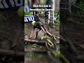 Nino Schurter Slipping And Sliding! #shorts #viral