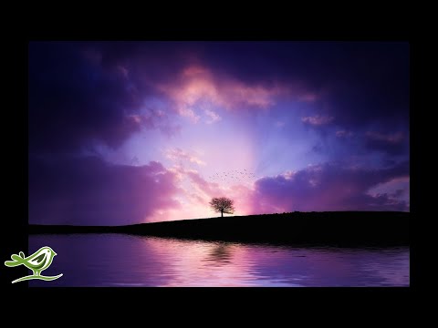 Relaxing Guitar Music: Soft Music, Peaceful Music, Soothing Music, Healing Music ★34
