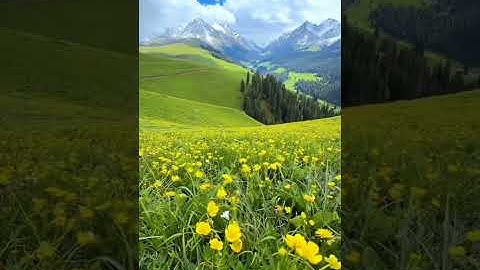 #nature #beautiful #vlog #love #funny #egzonibrahimi #سورة_الإخلاص #ikhlas #اكسبلور #التغطيه