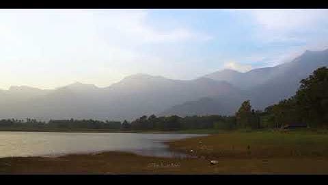 Celebrating diversity(LS:GROUP:::4)