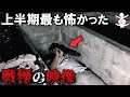 【上半期まとめ】納涼気分を味わえる背筋の凍る心霊映像18選