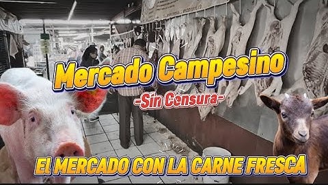NUESTRA EXPERIENCIA EN EL MERCADO CON MAS TRADICION EN MONTERREY NUEVO LEON