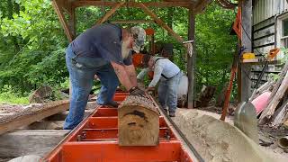 Sawing Half Inch Boards from A 12ft Poplar Log!! 