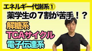 【エネルギー代謝①】解糖系・TCAサイクル・電子伝達系を経て１モルのグルコースからATPはどのくらいできる？？全体像を解説！