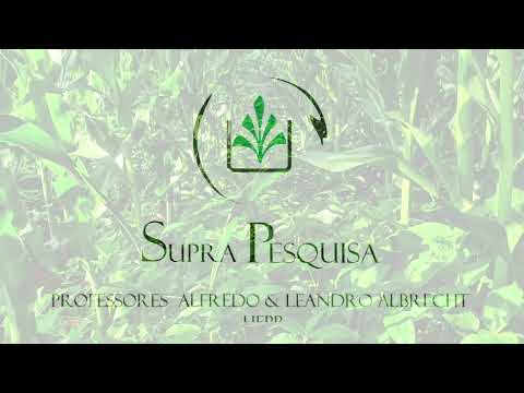 Vídeo: Colheita de cobertura de ervilhaca Woollypod: como cultivar plantas de ervilhaca Woollypod