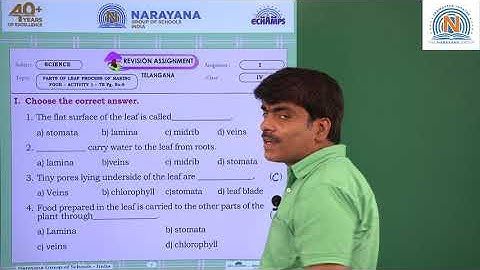 4TH AUG PAN INDIA SCIENCE CLASS IV ASSIGNMENT KEY