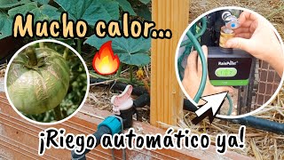 How to WATER your garden in the summer | RainPoint automatic irrigation