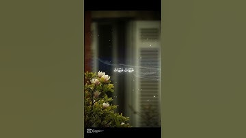 #القرآن_الكريم  #سورة_الكهف  #سورة_البقرة #سبحان_الله  #سورة_الواقعة  #سورة_يس