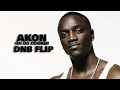 Akon On Da Corner Ft Rick Ross Fat Joe Styles P DNB Flip mp3
