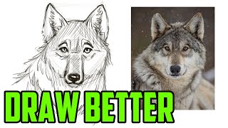 How to draw a BETTER Wolf Head