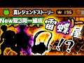 New編成！？真レジェ冠3同一編成【雷蝶屋】のご紹介