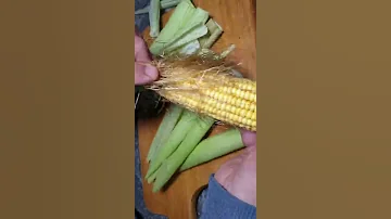 مشروب تفتيت حصوات الكلي و تنظيف المسالك البولية و التخلص من الماء الزائد بالجسم 