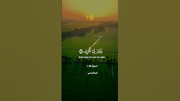 القارئ |أنور الشرعبي #قرآن #تلاوات