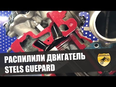 Распилили двигатель STELS