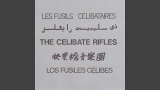 Video thumbnail of "The Celibate Rifles - Wild Desire"