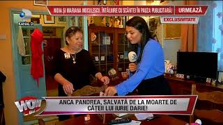 Wowbiz 12.07.2018 - Anca Pandrea Salvata De La Moarte De Cateii Lui Iurie Darie Partea 1