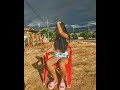 MTG FAÇA ELA FELIZ 2024