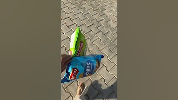 Nuego electric Bus Experience #nuego #jaipur #bharatpur #bus #travel #trending #ytshortsindia #viral