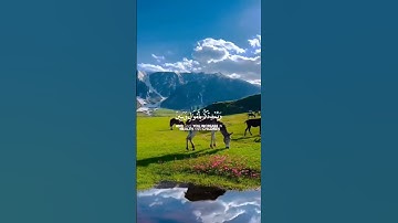 ﴿ فَقُلْتُ ٱسْتَغْفِرُوا۟ رَبَّكُمْ﴾سورة نوح – الآية 10 للشيخ ماهر المعيقلي #ارح_قلبك #القرآن