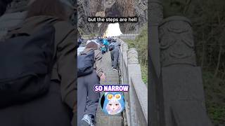 Famous The hike with unexpected ending! Profile