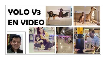 YOLOv3 Detección de objetos en video - Pytorch