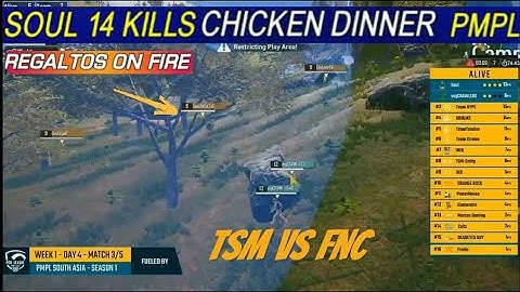 Soul back on track 14 Kills Chicken dinner in pmpl | Regaltos on fire | tsm entity vs fnatic