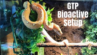 How to Build a Naturalistic, Bioactive Enclosure! Wealth