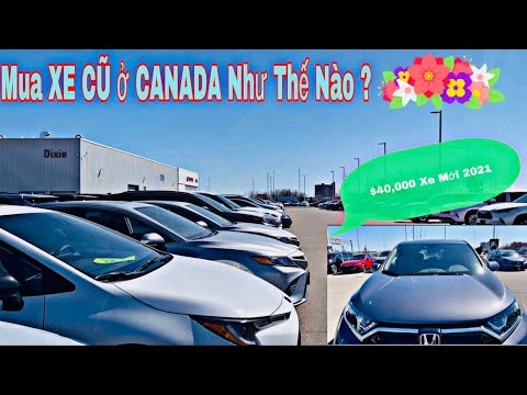 Video: Cần bao nhiêu để mua một chiếc xe hơi ở Canada?