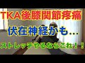 【伏在神経！？】TKA後の膝前内側の疼痛の原因はここかも！！