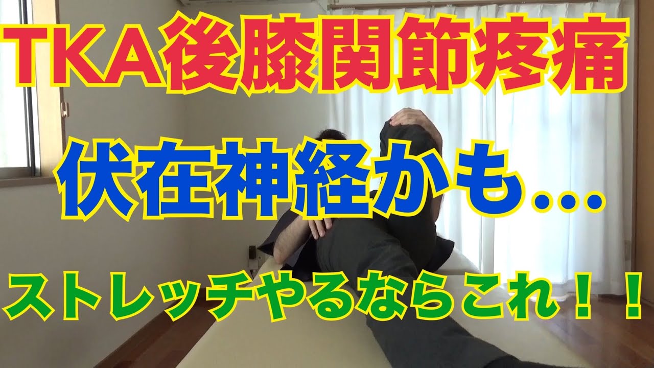 【伏在神経！？】TKA後の膝前内側の疼痛の原因はここかも！！