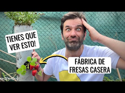 Video: Maceta vertical de fresas: aprenda a plantar en torres verticales de fresas