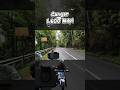 Lewat Jalur Cangar View Hutan Rimba #shorts #trending