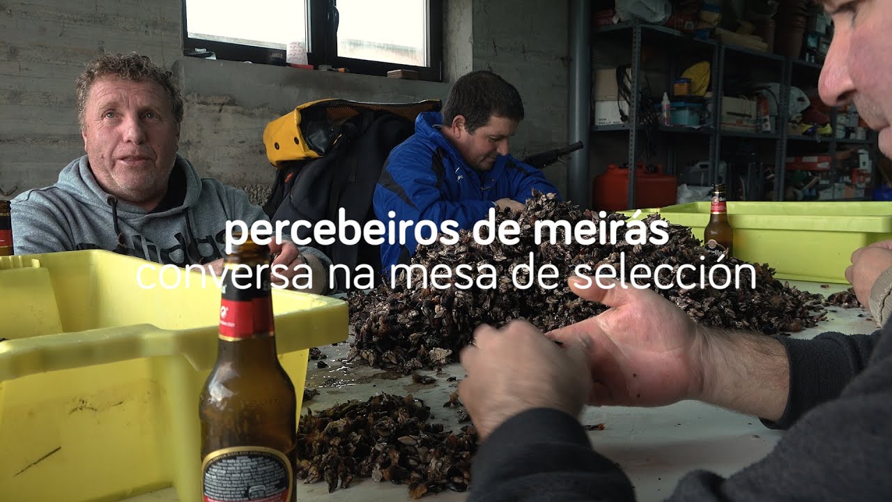 Percebeiros de Meirás