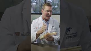 Orthopedic Surgeon: What is the Meniscus? #shorts