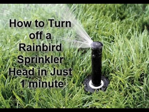 When Should You Turn Off Sprinkler System?