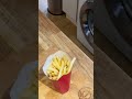 Unboxing FREE Mcdonalds Mccrispy