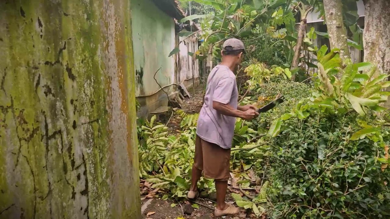 Off-Grid Fuel: Gathering Wood Branches for Cooking _FarmersLife _Shorts