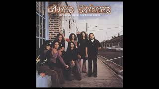 Lynyrd Skynyrd - Free Bird Backing Track No Guitar