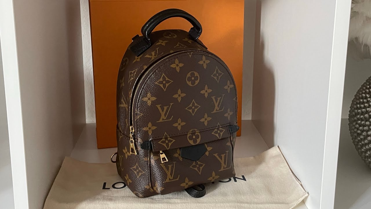 Louis Vuitton Palm Springs Backpack MM, PM and Mini Comparison and WIMB 