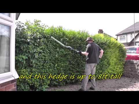 mac allister 1000w strimmer