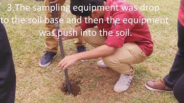 soil sampling report