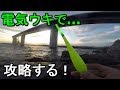 【若洲海浜公園】電気ウキで初冬の東京湾奥の沖を攻める！【2018.12.04】