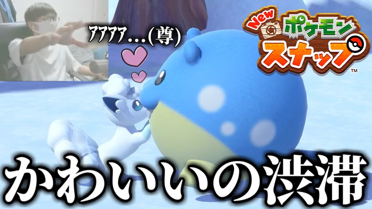 タマザラシとアローラロコンの絡みが可愛すぎた件 Newポケモンスナップ Youtube