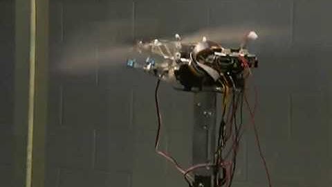 RoboBat- Robotic Flapping Flight Testbed