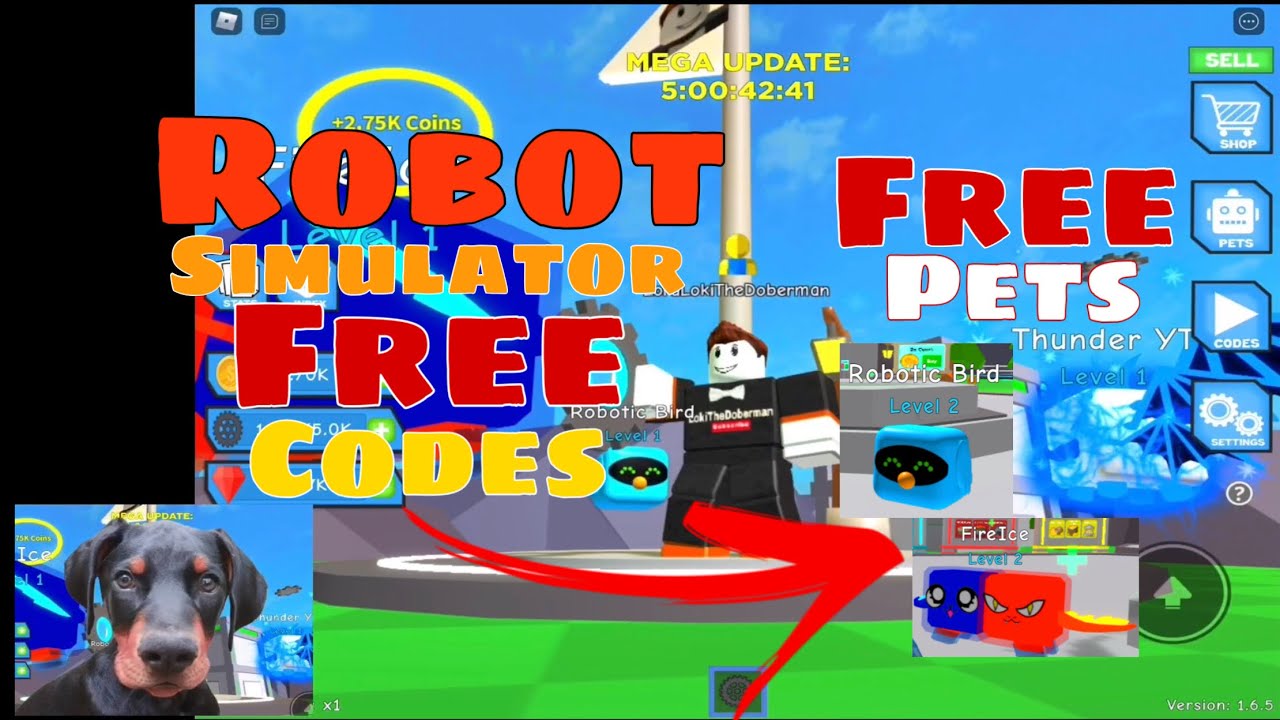 all-working-free-codes-robot-simulator-free-op-pets-free-gems-free-coins-roblox-youtube