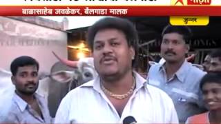 Rajushet Jawlekar Bailgada(Vafgaon)